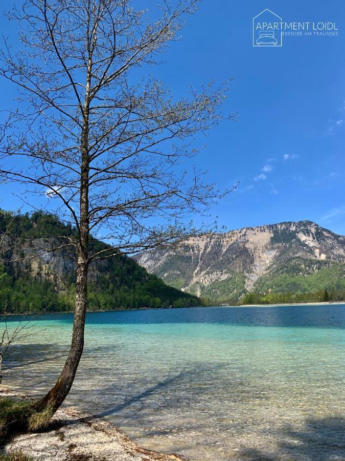 Apartment Loidl Ebensee Exteriér fotografie